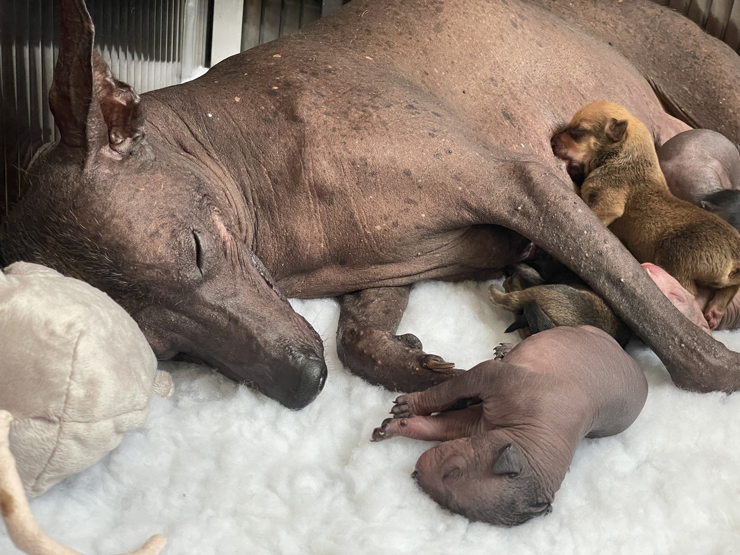 FFB8A75D-1BE0-48AD-A8A6-EDD78229CB4D