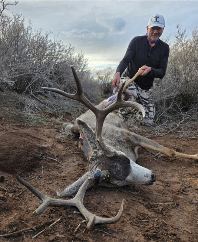 Screenshot 20260203 194830 Gallery