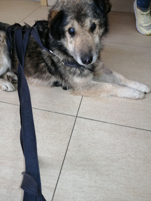 1B7DFCD6-2BDF-4C69-8B57-DCC3A5145EF7