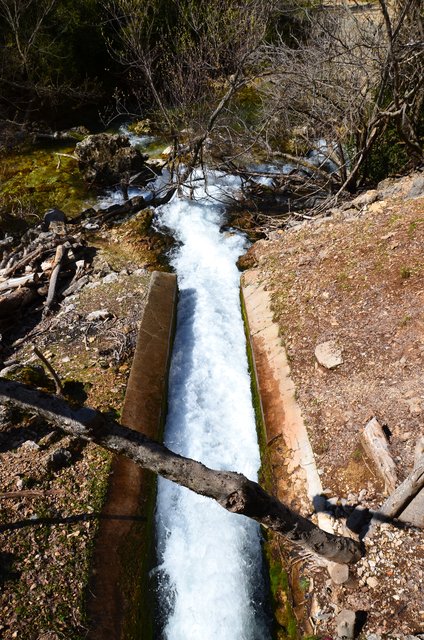 RUTA RIO BOROSA-12-3-2016-JAEN - Paseando por España-1991/2016 (70)