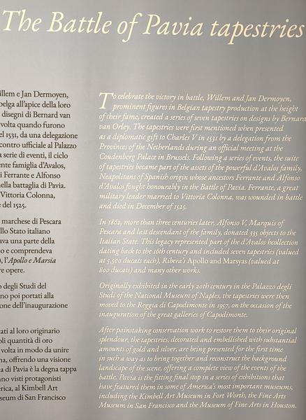 Milán-Turín-Génova-Pavía - Blogs de Italia - Pavía: la famosa batalla y sus torres medievales (86)