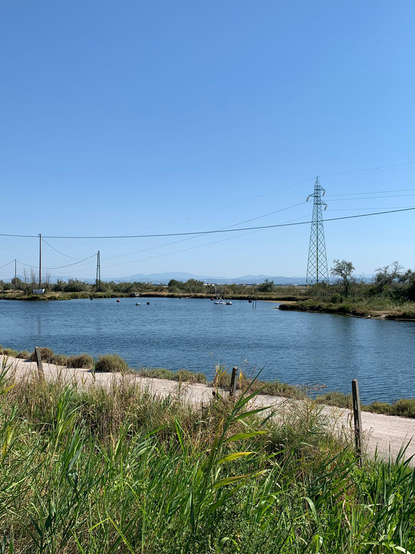 353B9DFB-4D85-4AB4-91BD-F02710515235