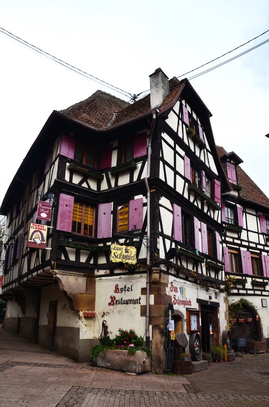 OBERNAI-15-11-2022 - Francia y sus pueblos-2016/2022 (67)