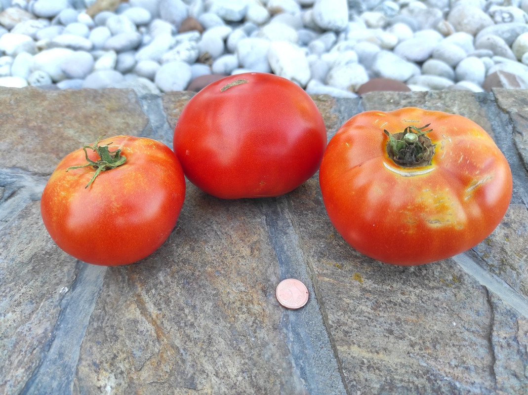 524813463_24168333009452404_4751379350454340411_n