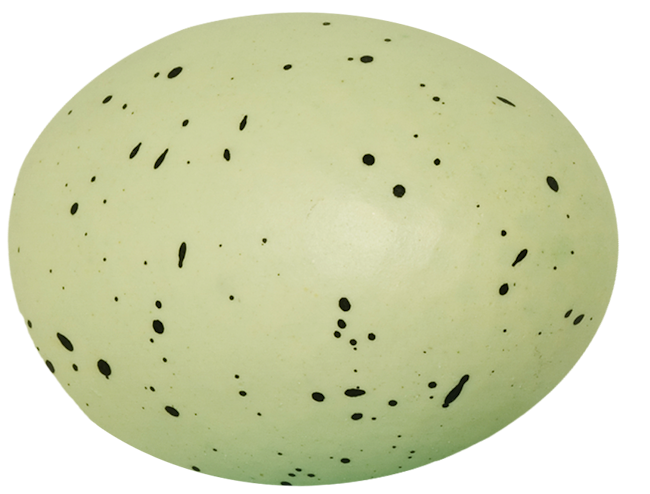 0_1c0101_ce93be67_orig
