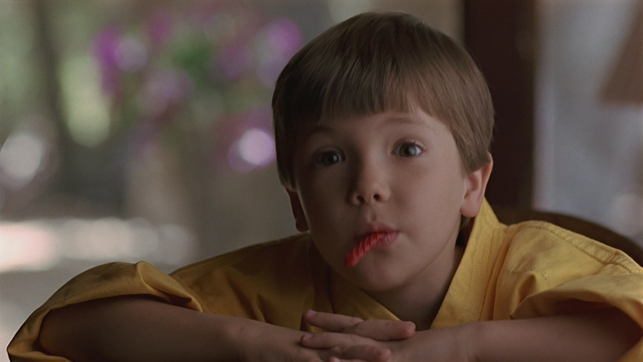 3 Ninjas Kick Back (1994) (1080p AMZN WEB-DL x265 FreetheFish)-1