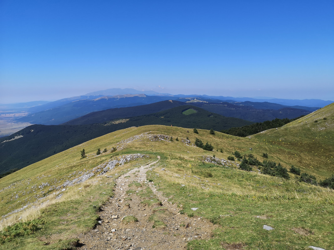 [Obrazek: IMG-20190811-112108.jpg]