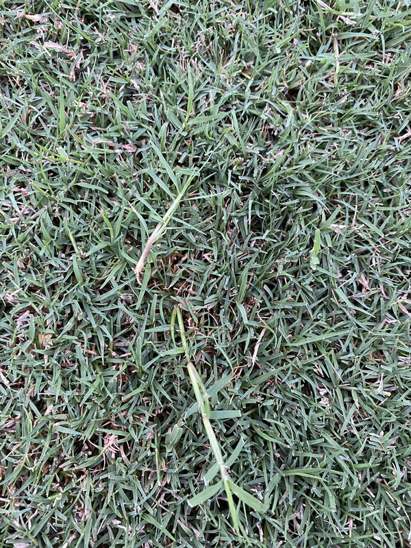 21FEF12A-FD26-433B-ADA1-FF5DF7AAC8D7