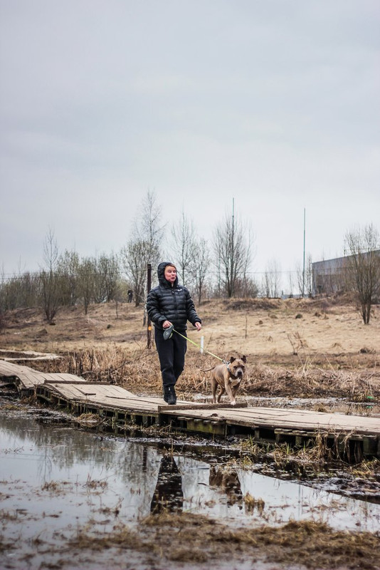 без имени-0547