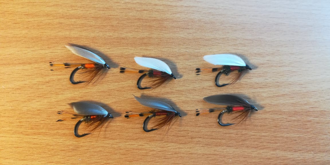 832A3C56-9AED-4D19-B5C7-2C07513D2021