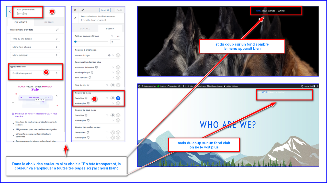 image fond transparent