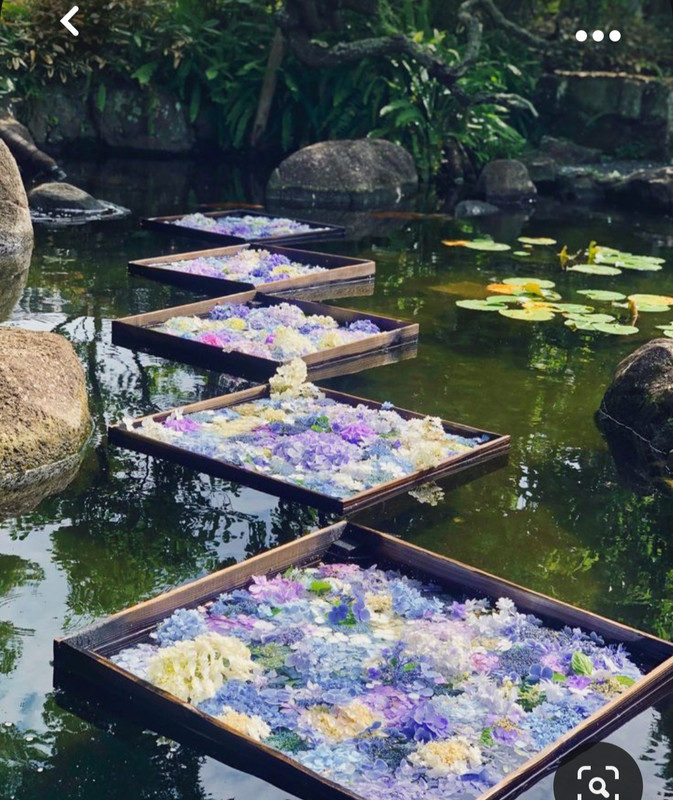 Screenshot_20231020_211347_Pinterest