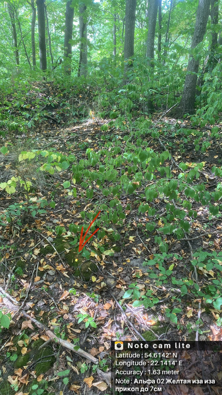 74432 E26 4 B2 D 4139 9348 3622390 D9 E73 Postimages