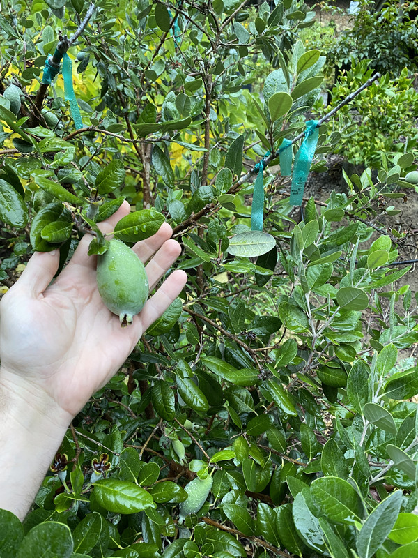 DAA24442-E5E4-4E37-AE8F-86BE65BE5ECD