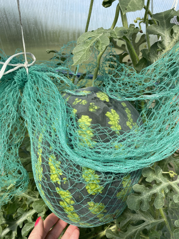 7C1EFCF2-5D27-4108-8520-0A28B054CE86