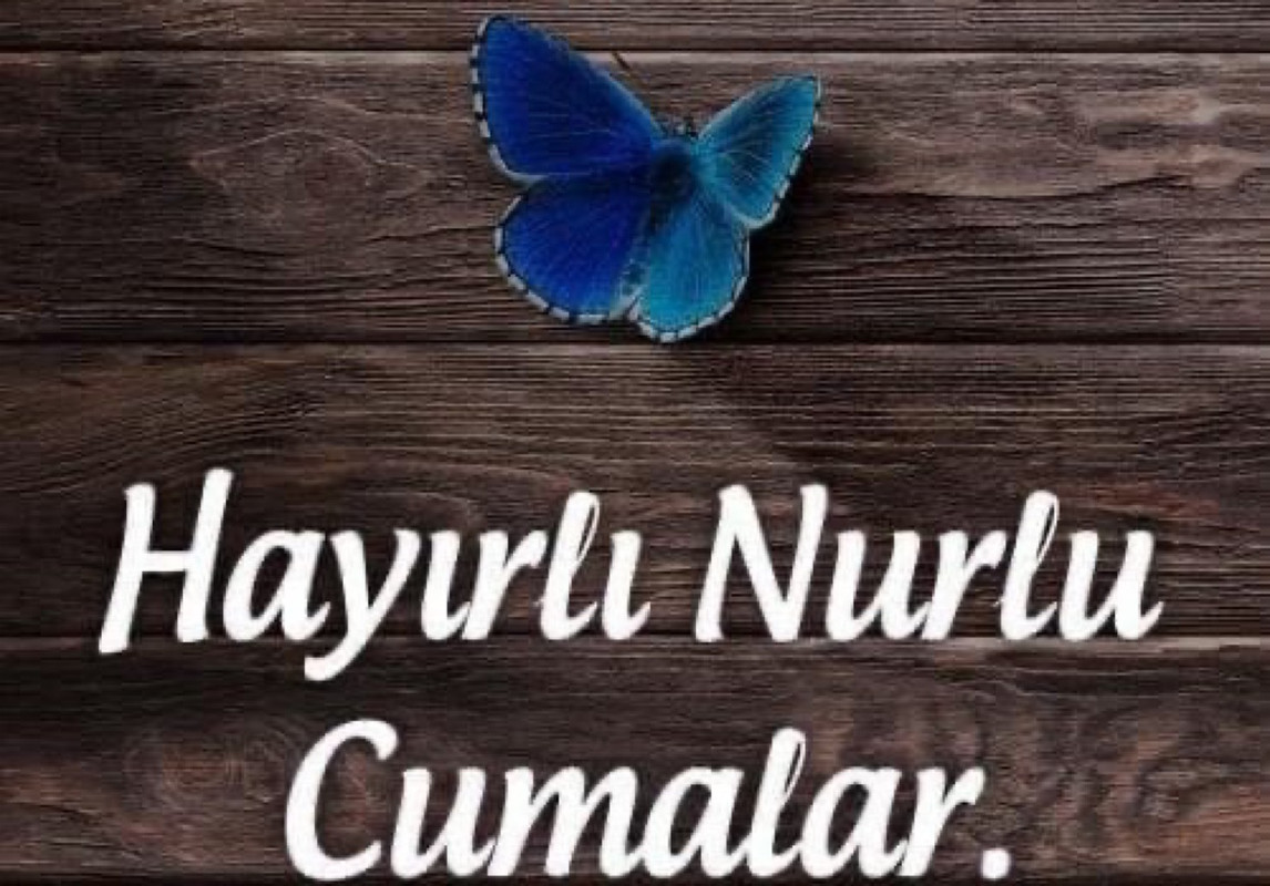 7C142BAD-CF50-4BDD-9D25-F41272BA187B