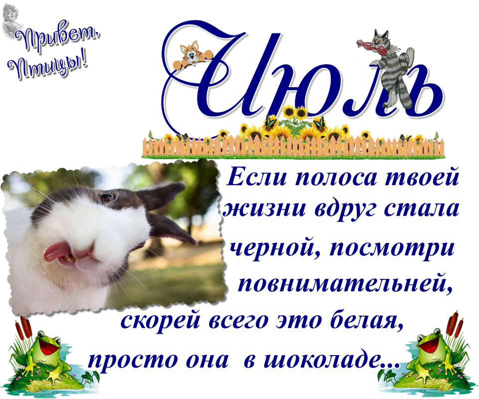 https://i.postimg.cc/PxjB3G0n/14-07.png
