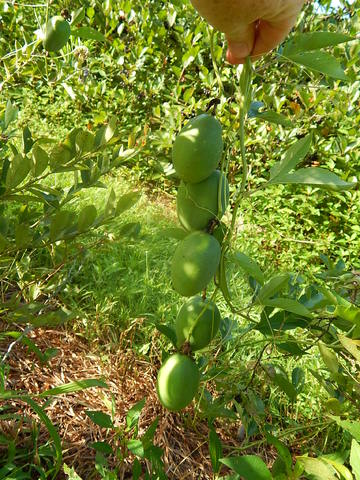 DSCN1201