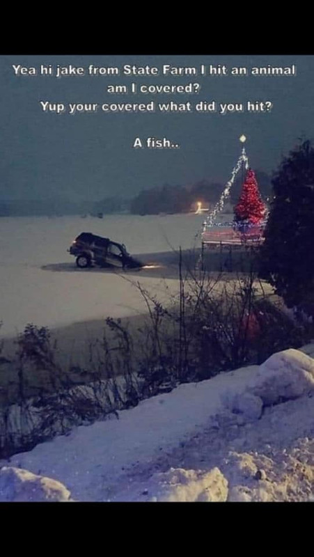 80401434_2492930464280325_4854560620810338304_n - Copy