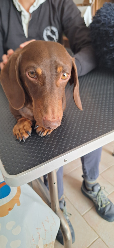 [Image: 20251002-150833.jpg]