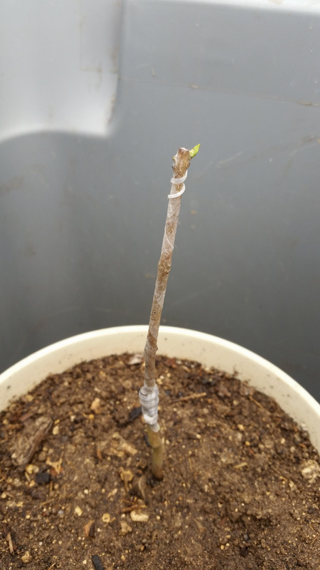 20150322_134549