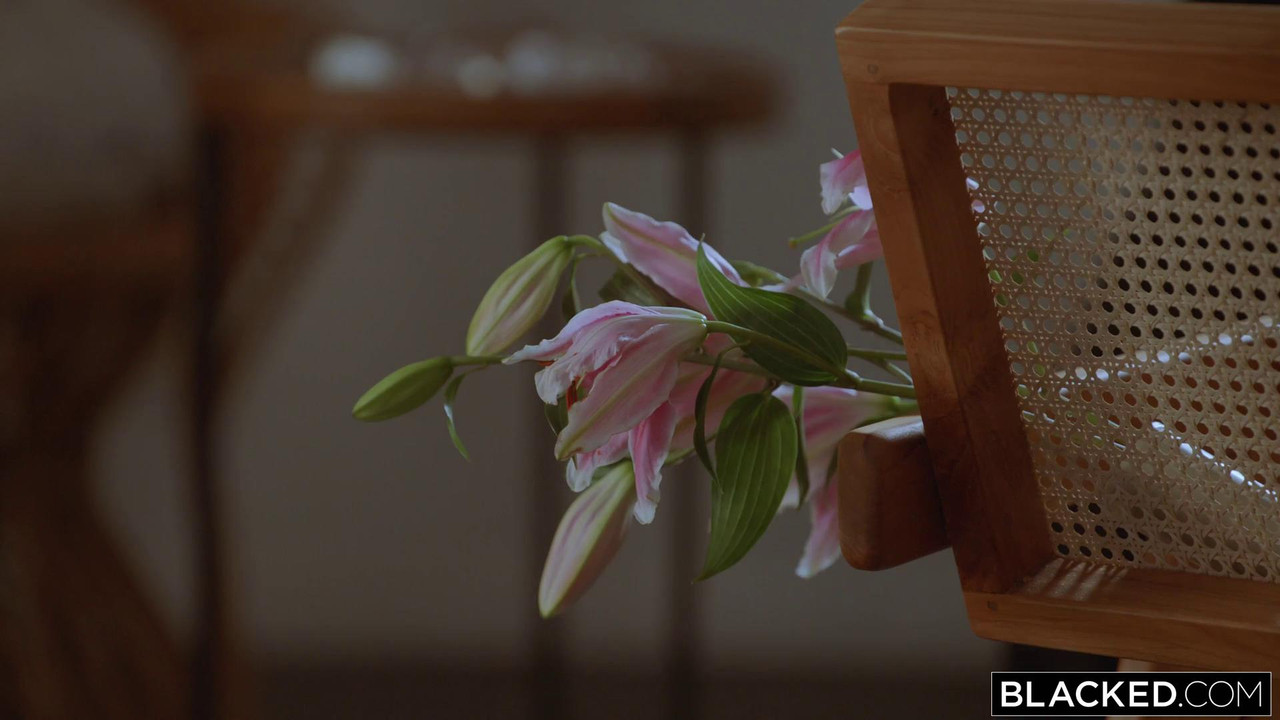 vlcsnap-2023-06-04-04h13m59s162