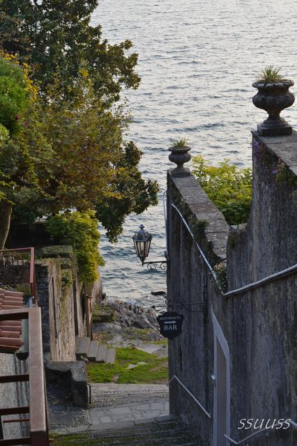 DSC_0041_4000x6000