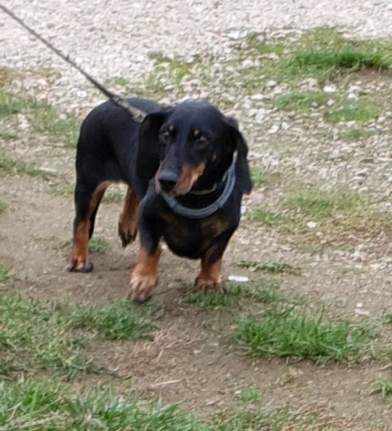 [Image: 20201016-210045.jpg]