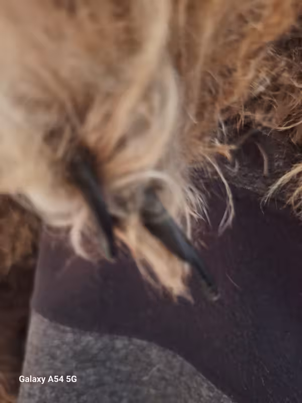 [Image: 20241124-182211.avif]