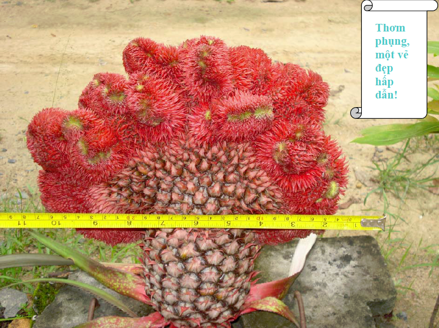 7-16-2013 10-06-03 AM