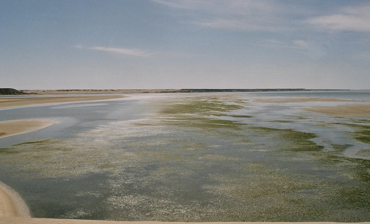 Villa Cisneros (Dakhla) y la Peninsula de Rio de Oro - El Sahara Occidental (98)