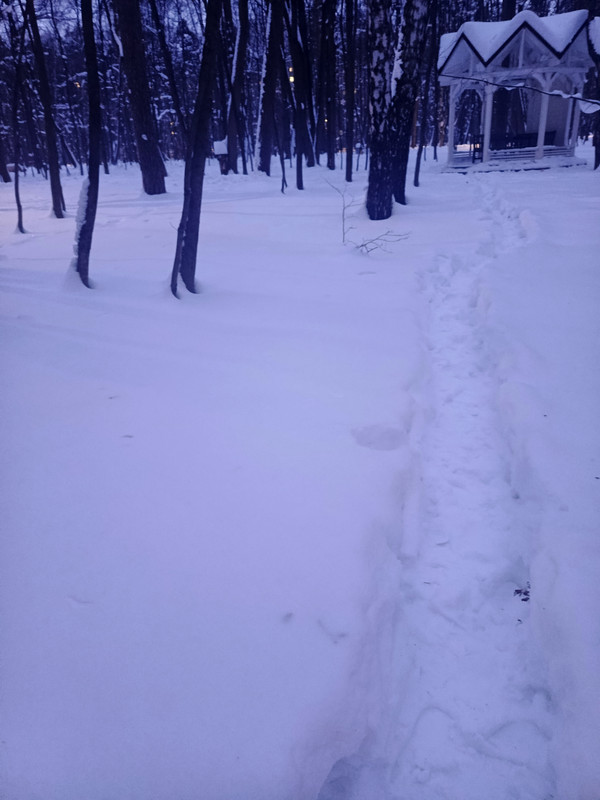 IMG 20260121 165907 877