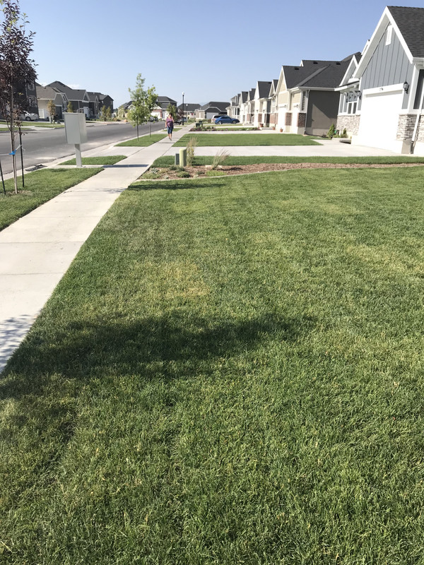 EDF532C2-2BAA-4322-A895-2A251C677411