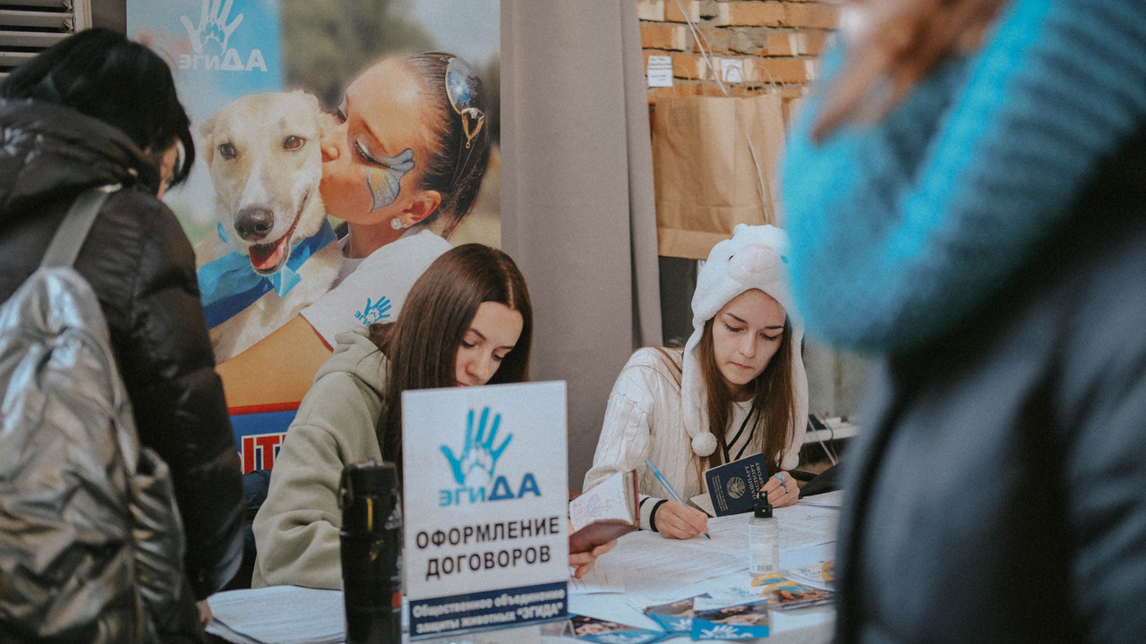 5DB410DA-F3EF-4640-8CF6-EA13542D2543