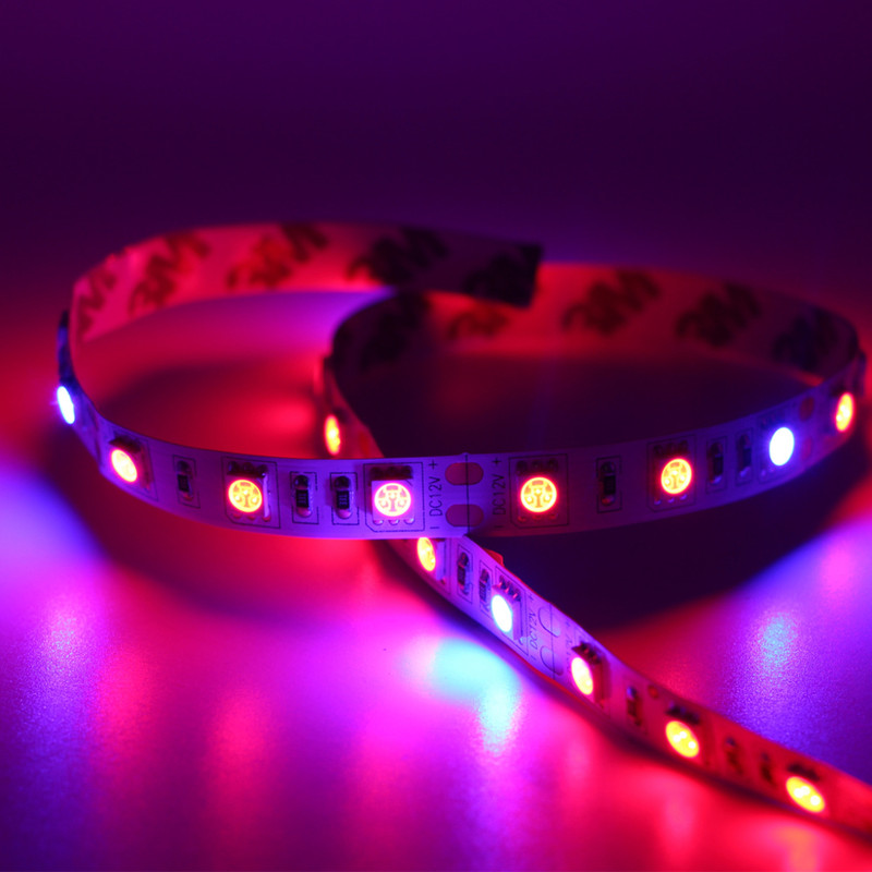 -2106169131435815942