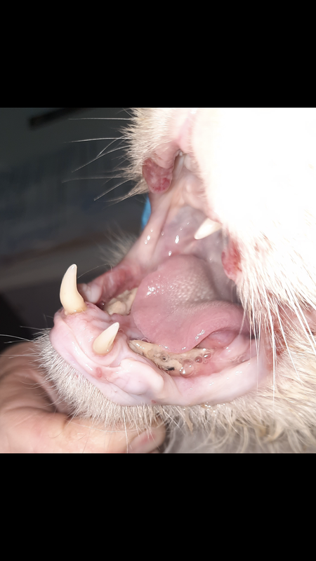 6D2137A4-0DFF-4411-9F0A-4618B69D554F