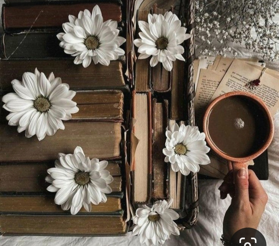 Screenshot_20240508_215303_Pinterest