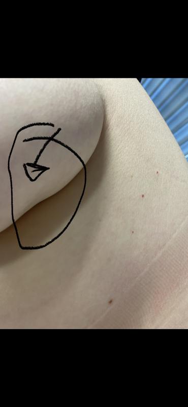 E66FB6E3-BA8D-4855-B365-FBB1E8CFCCF7