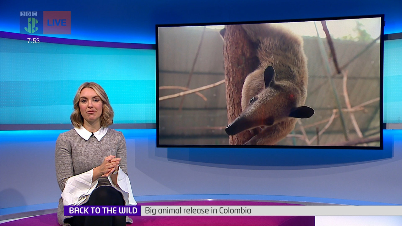Newsround_20220407_07450755.ts_snapshot_09.19.542