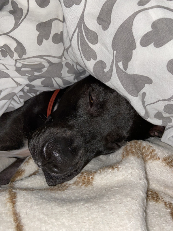 2AEAF304-F783-40B0-8364-5661A23A6814