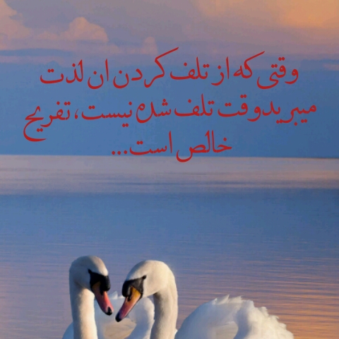 جملات ناب