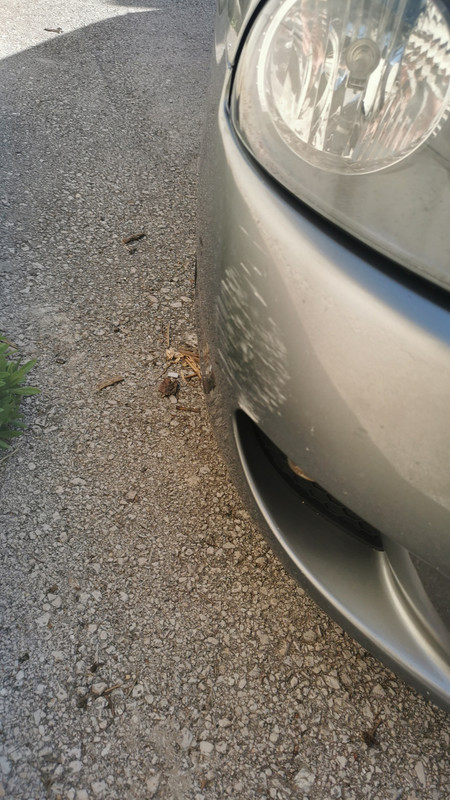 IMG-42ba1b53ac69cd3a0bd1480b1497ed4d-V