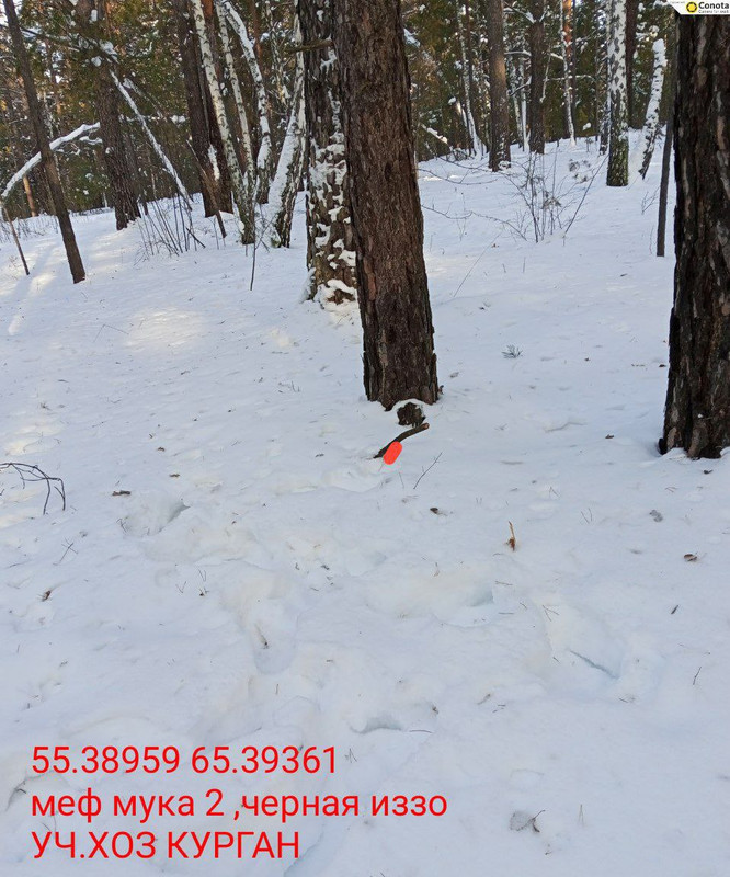 photo 5 2026 02 03 18 01 26