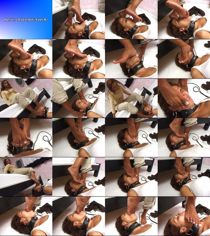 55755575FF