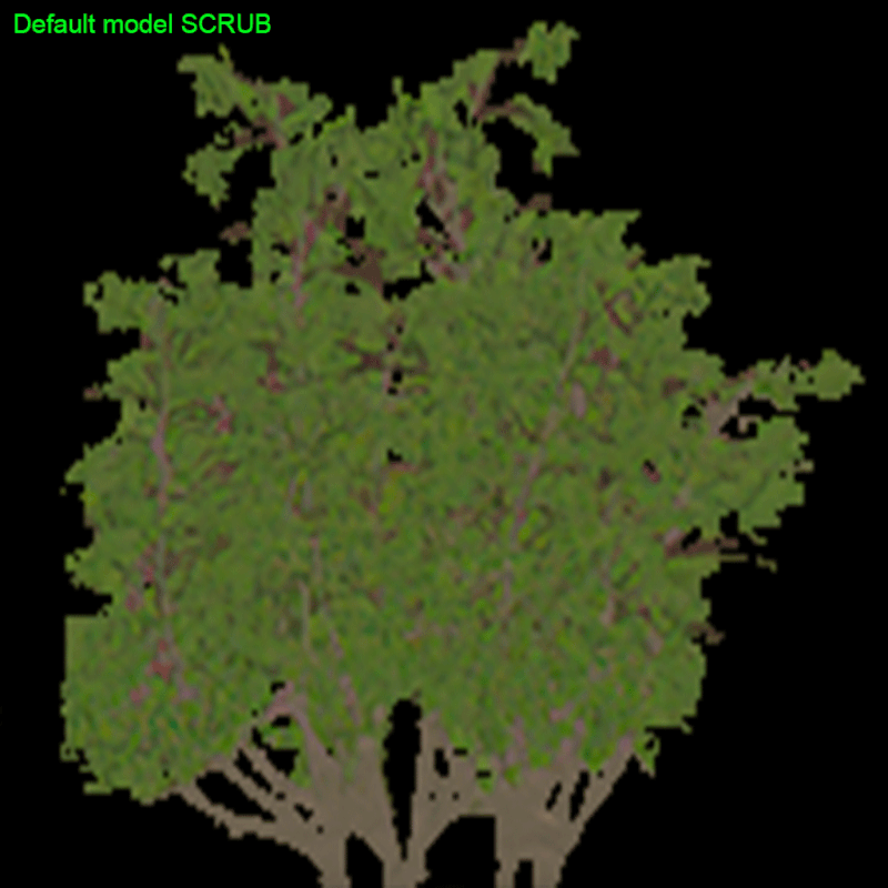 SCRUB01-compare.gif