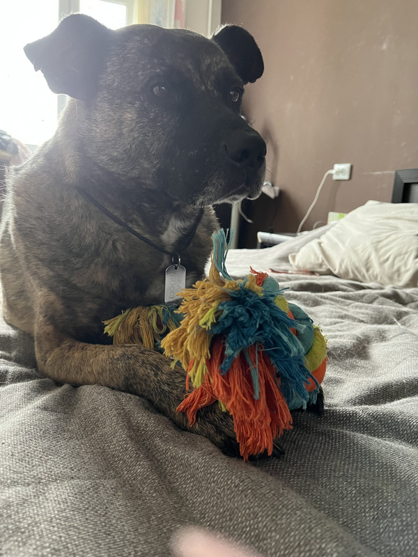 1F290C81-F259-4A7B-9F67-5E5A36ED7B4A