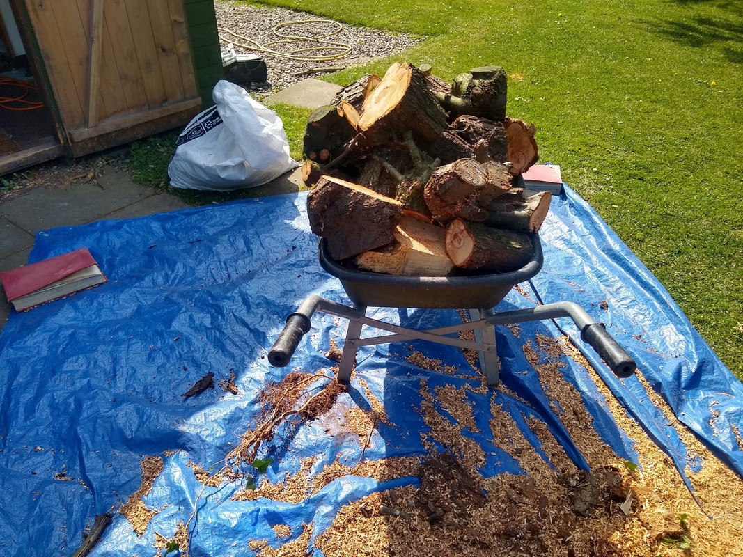 IMG_20200422_144620742_HDR