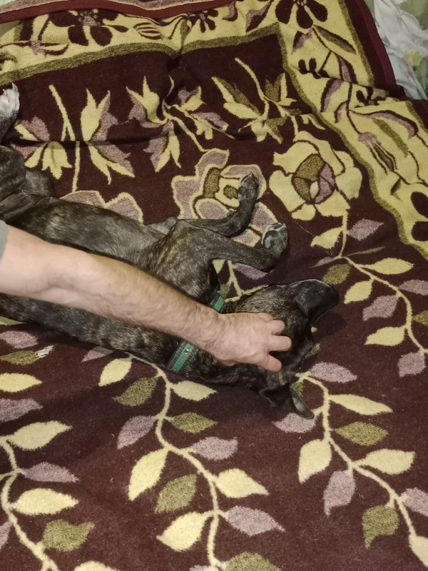 EB30144B-8AD2-4803-91EF-72125A468EB2