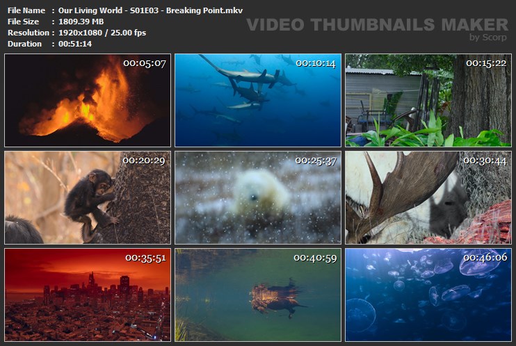Our Living World - S01E03 - Breaking Point.mkv