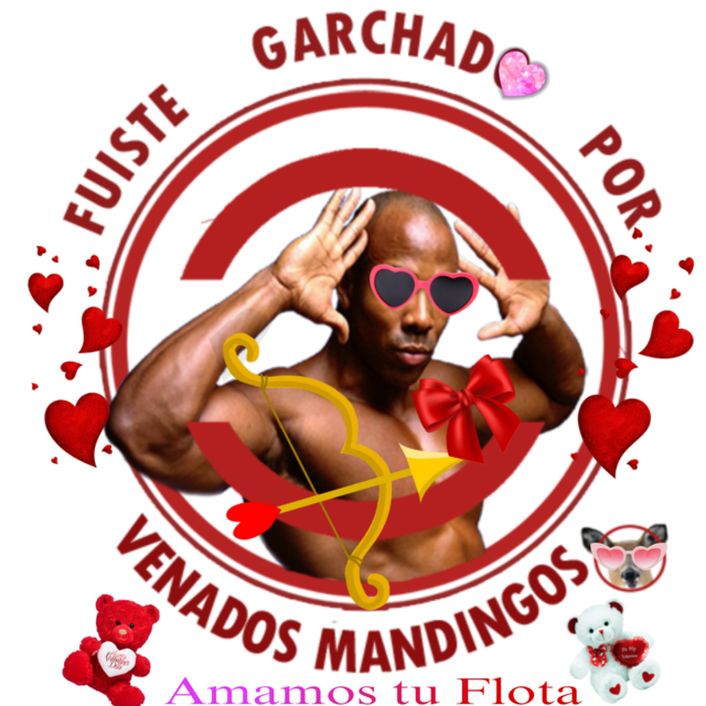 firma-venados-amamos-tu-flota.png